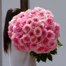 Exquisite Roses + Ruscus [Newsletter Exclusive]
